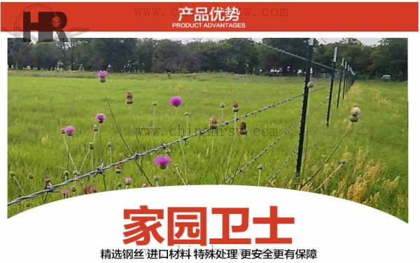 刺丝防护网