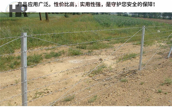 刺绳按装效果图