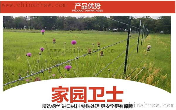 刺绳安装