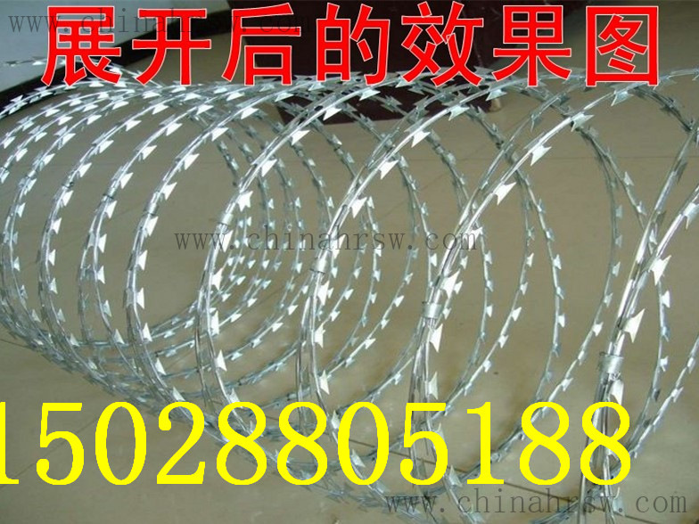 刺绳 刺绳